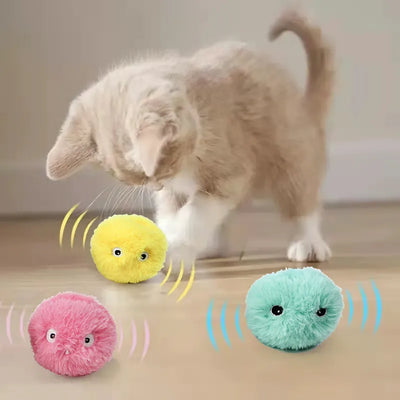 Cat Toys