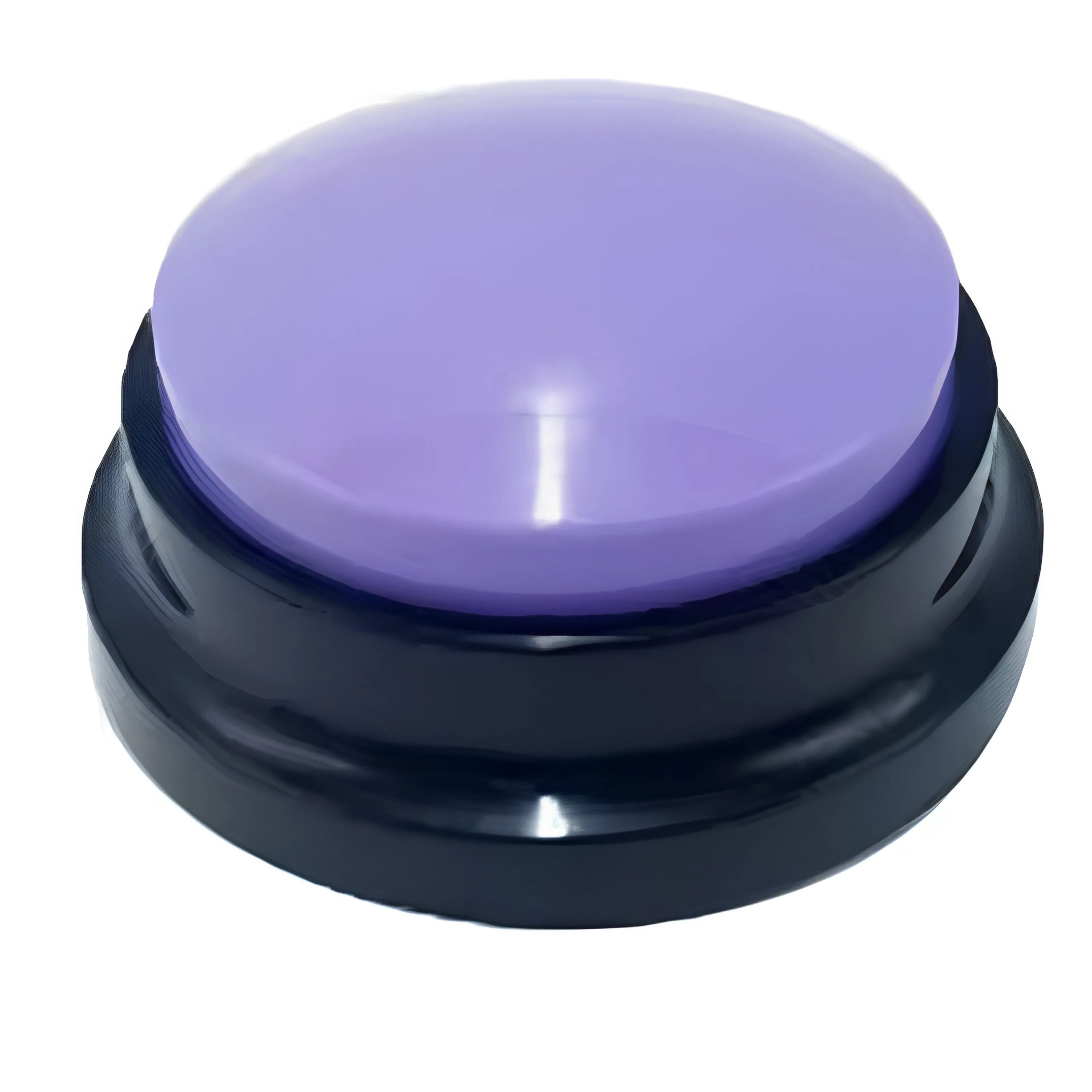 Smart-Training Recordable Pet Speaking Buttons