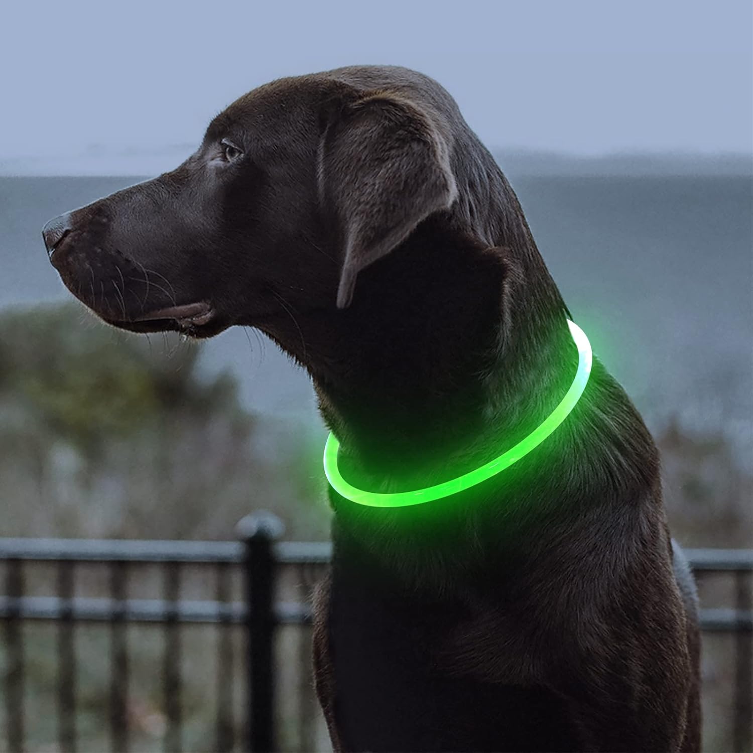 Cut-to-fit 360° Ultra-Bright Loss-Prevention LED Pet Collar