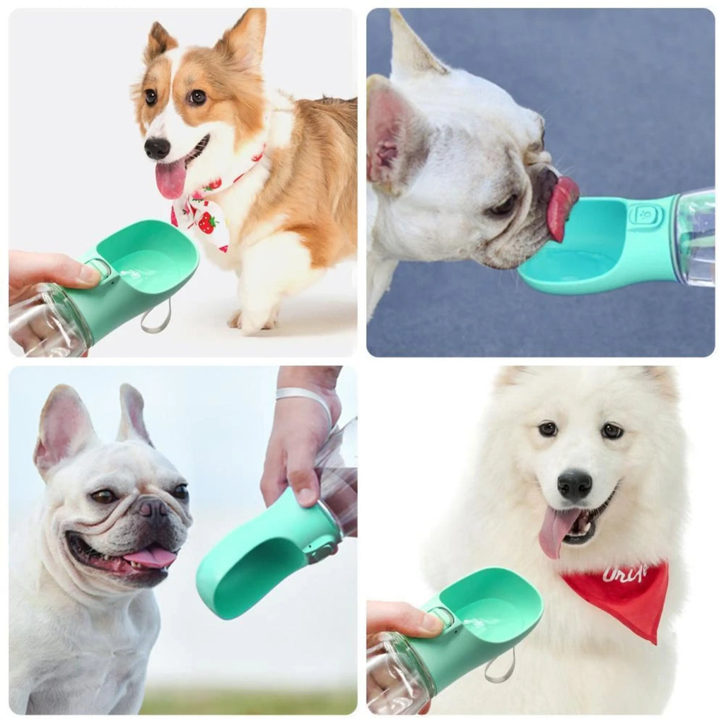 Foldable Leakproof Portable Dog Water Bottle