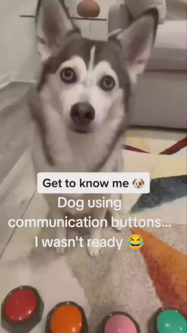 Smart-Training Recordable Pet Speaking Buttons