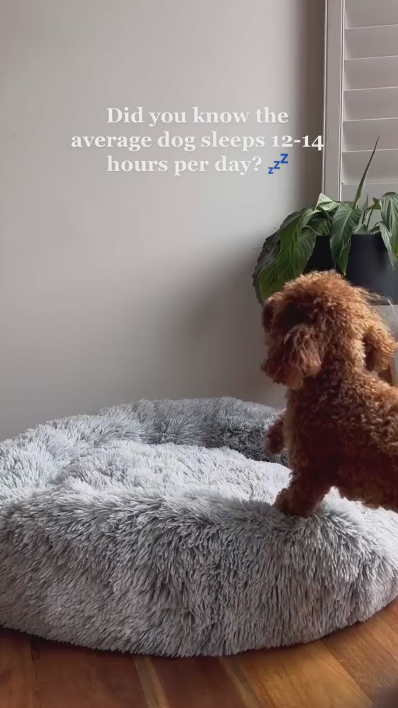 Anxiety-Relieving Plush Donut Pet Bed