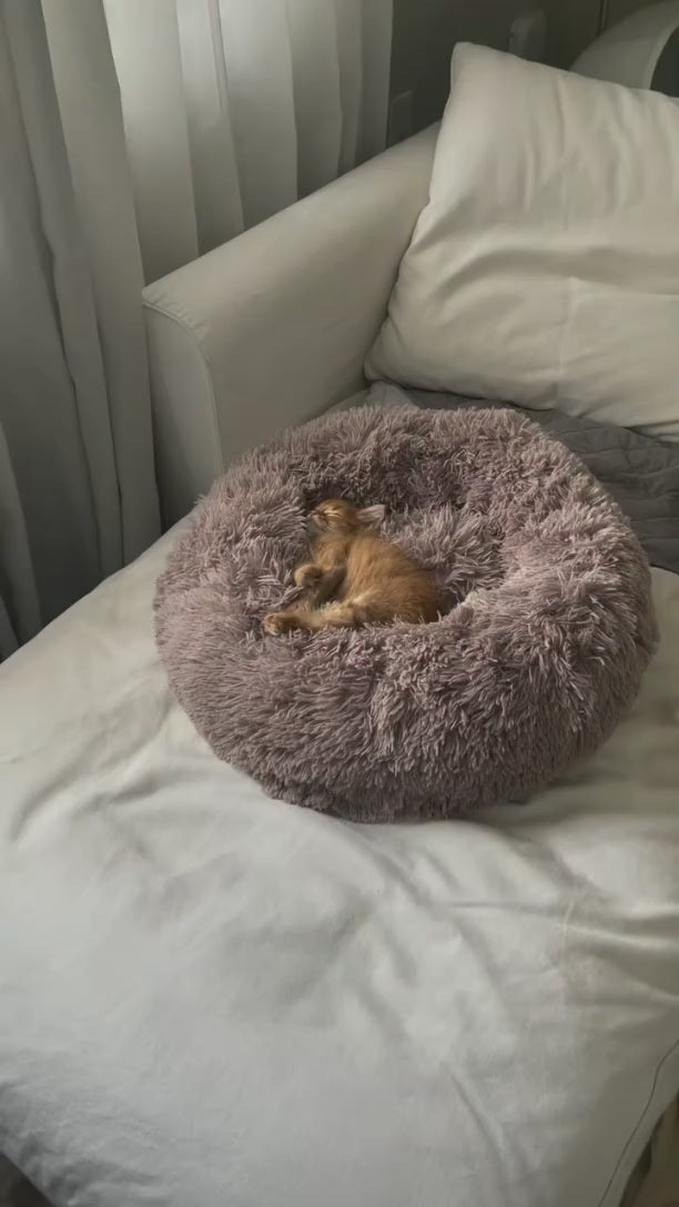 Anxiety-Relieving Plush Donut Pet Bed