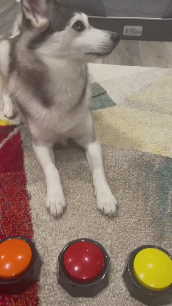 Smart-Training Recordable Pet Speaking Buttons